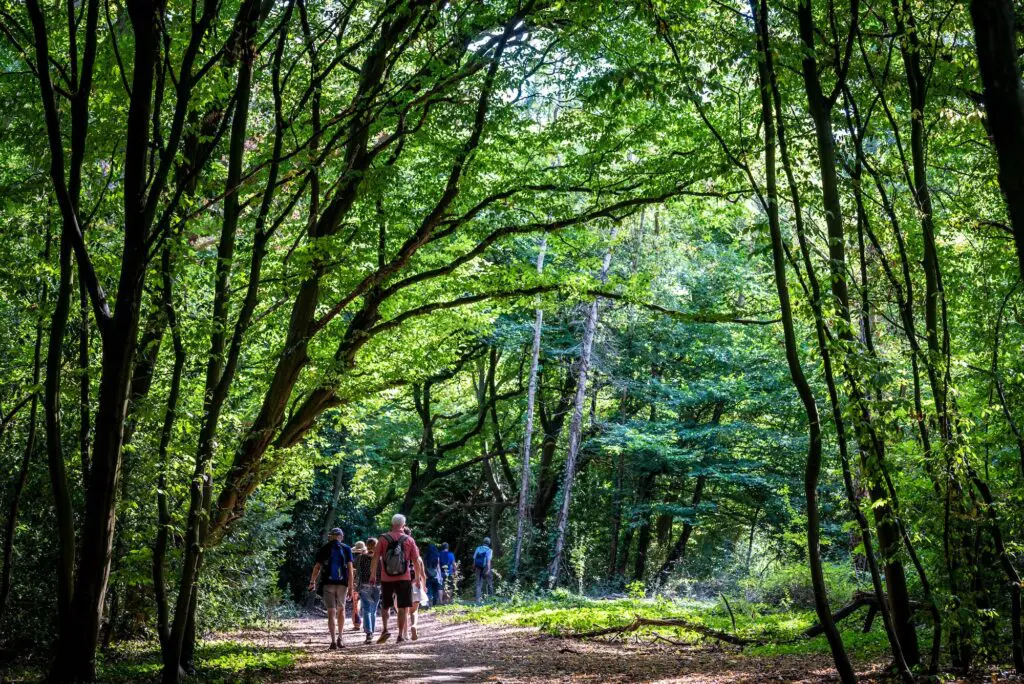 People hiking in Epping Forest, is a 2,400-hectare area of ancient woodland which straddles the border between Greater London and Essex, London, England, UK