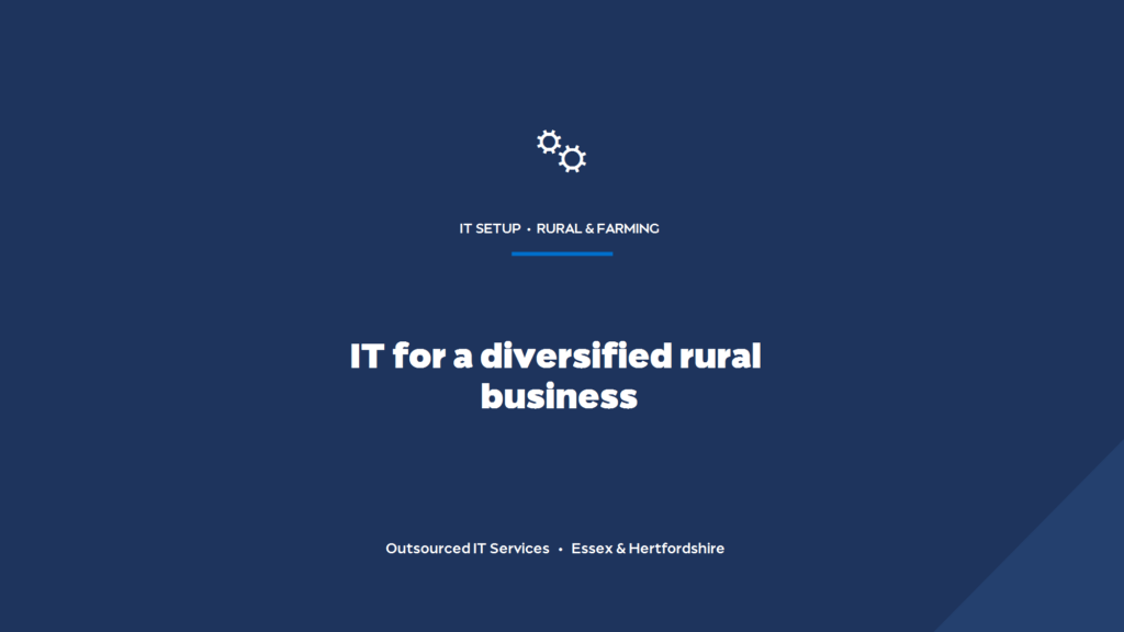 How should a diversified rural business set up its IT?