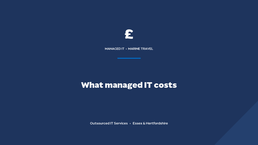 How much does IT support cost for a yacht and cruise travel agency?